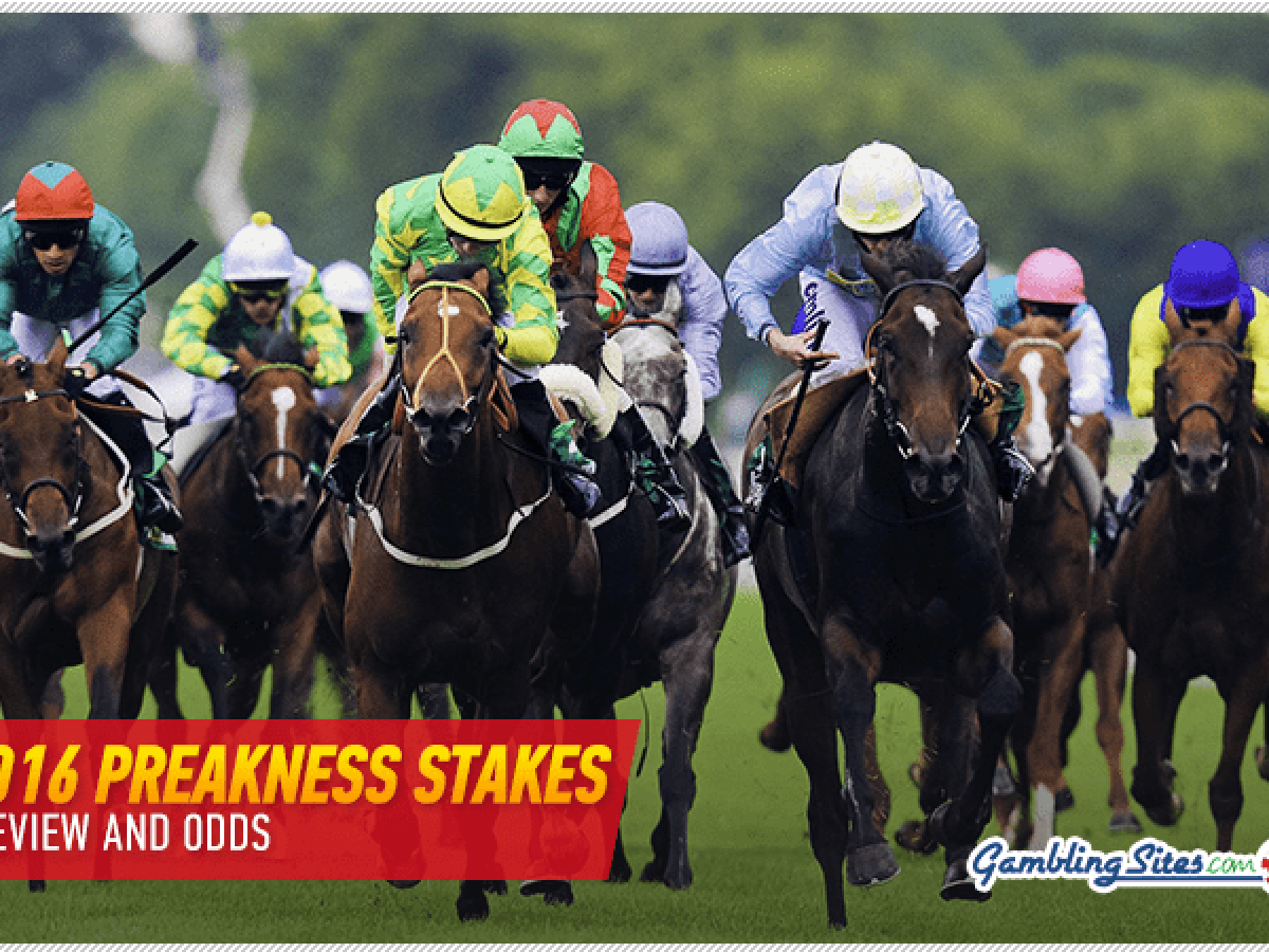 16 Preakness Stakes Odds And A History Of The Race