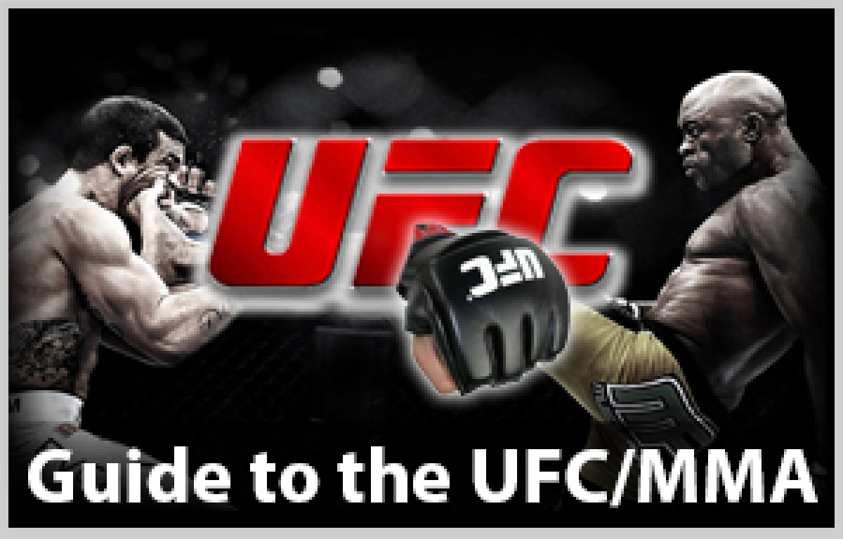 How to bet on MMA? Expert advice 