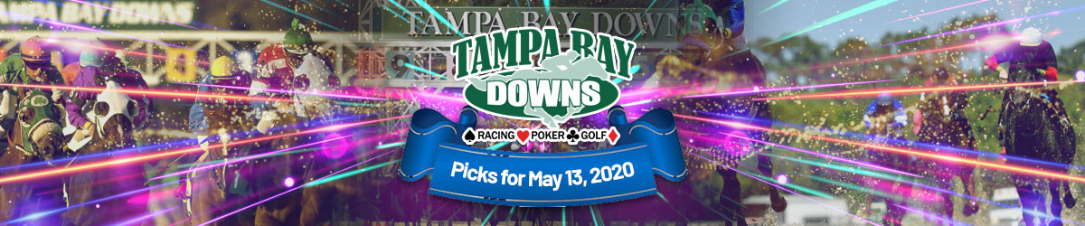 Tampa Bay Downs Horse Racing Picks and Tips (Wednesday, May 13)