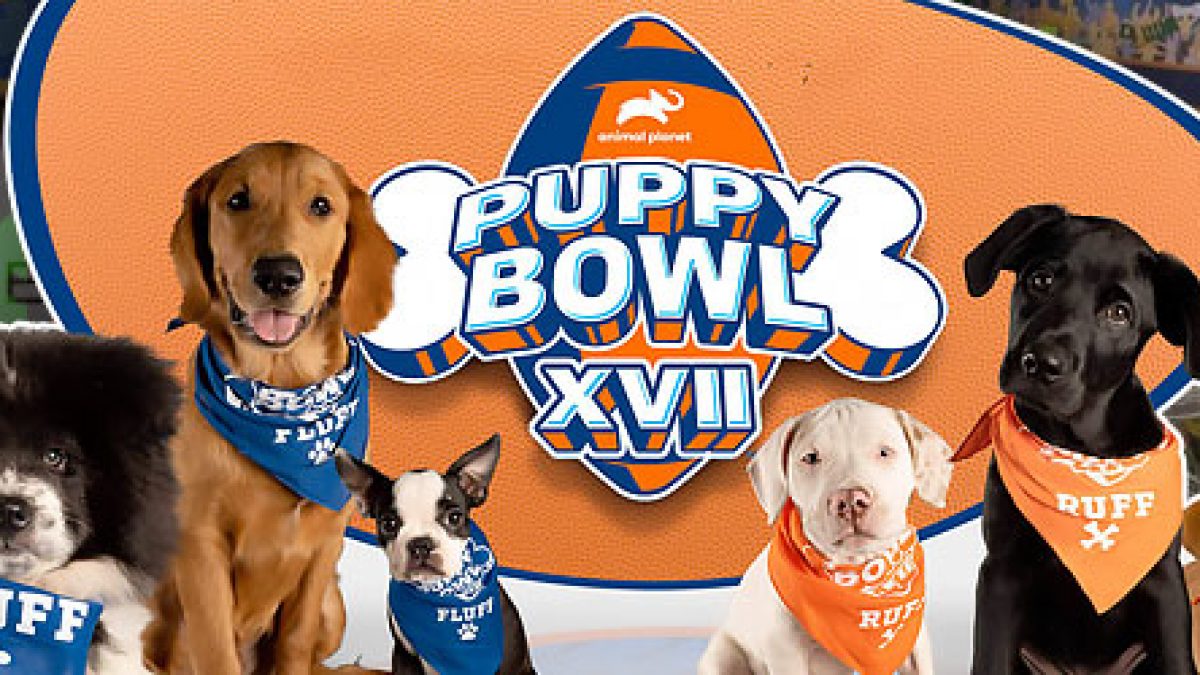 Which Sportsbook Wanted To Offer Betting On The Puppy Bowl?