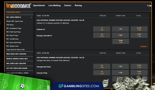Soccer Betting Guide - How to Bet on Soccer and Win Money