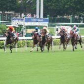 Happy Valley Racetrack