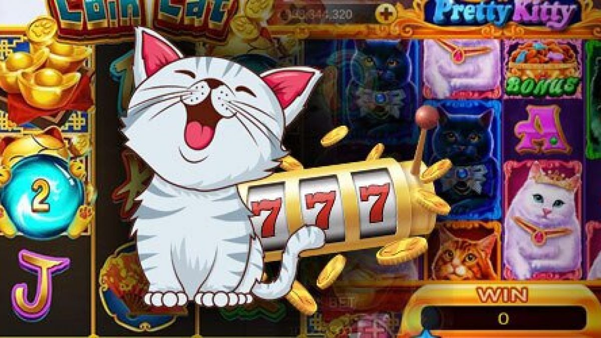 cats slots