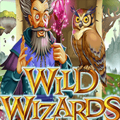 Wild Wizards