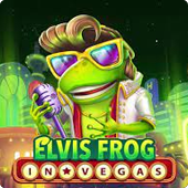 Elvis Frog in Vegas