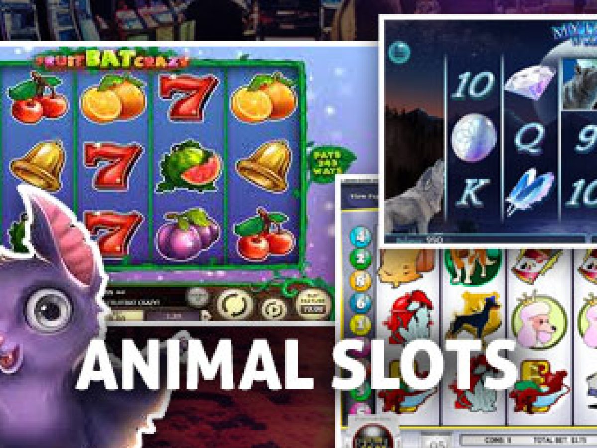 Fruit Bat Crazy Slot - Free Play and Reviews