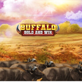 Buffalo Hold and Win