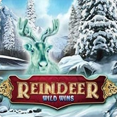 Reindeer Wild Wins