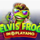 Elvis Frog in Playamo