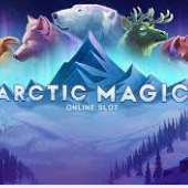 Arctic Magic