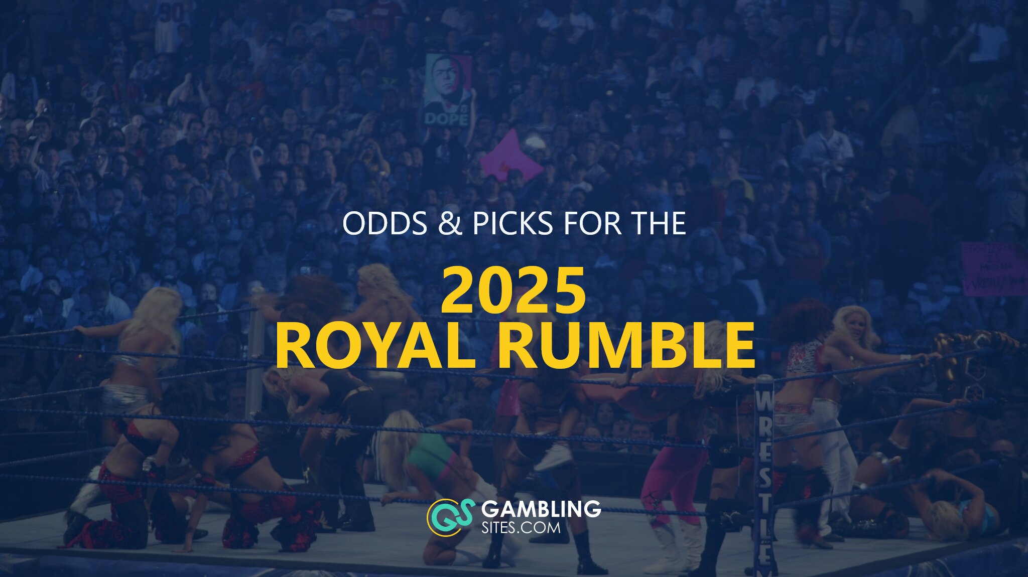 Odds & Picks for the 2025 Royal Rumble text centered, royal rumble image in background