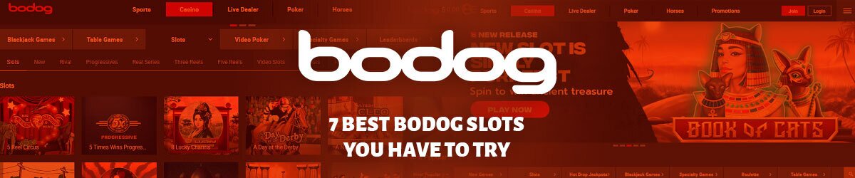 7 Best Bodog Slots You Have to Try