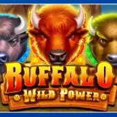 Buffalo Wild Power