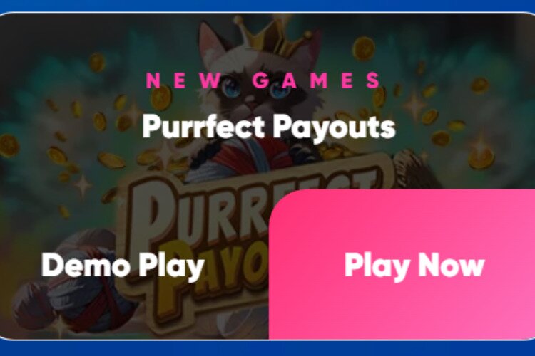 Purrfect Payouts