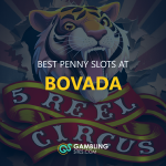 Best Penny Slots at Bovada text centered, 5 reel circus image in background