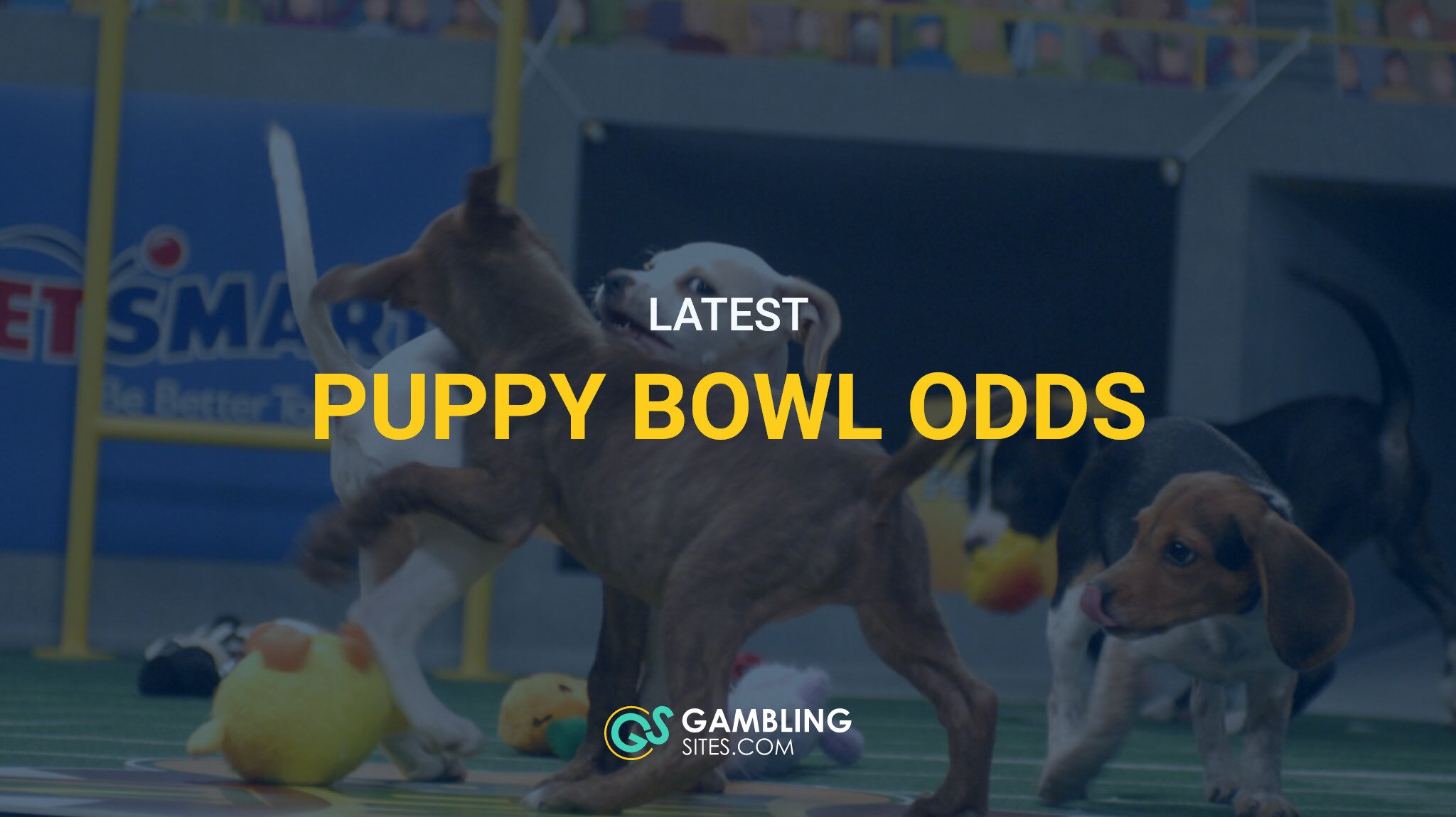 puppybowl