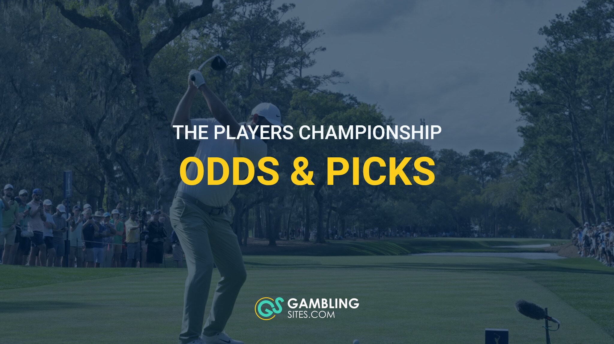 The Players Championship Odds & Picks (2025)