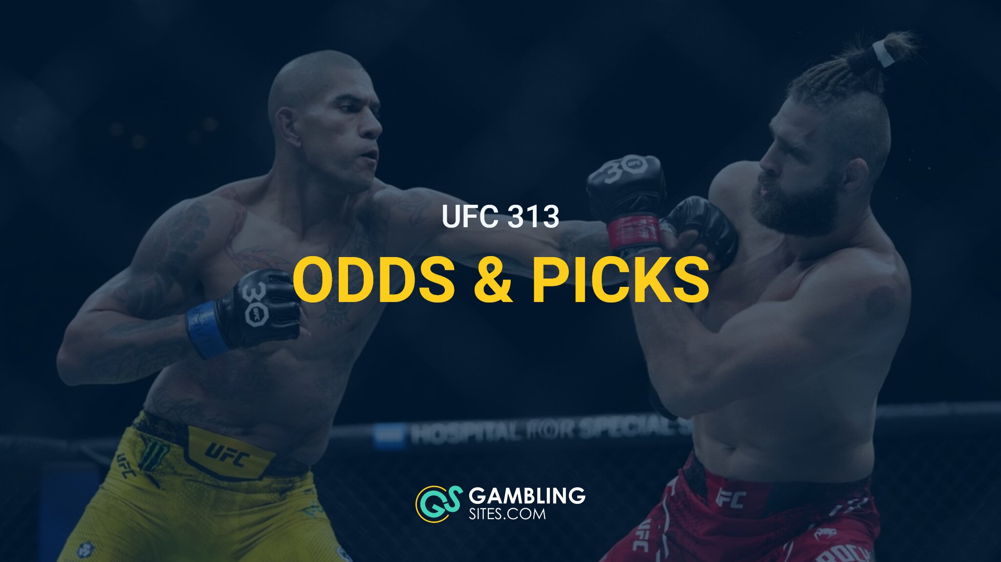 UFC 313 Odds and Picks